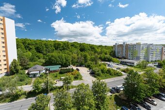 3-IZBOVÝ BYT S KRÁSNYM VÝHĽADOM NA LES – HAVANSKÁ - 13