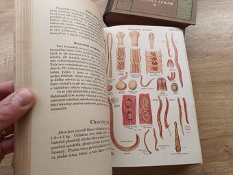 Prírodní léčba a domáci lekár I.+II. 1923 - 13