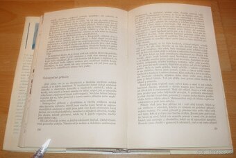 Lovy v Karpatech - 13