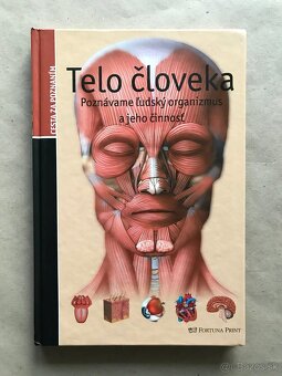Obrázky povolaní, Telo človeka, Disney Záhada stonajúcej - 13