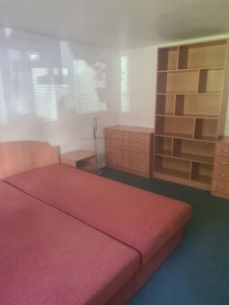 Zaujímavá väčšia nehnuteľnosť na bývanie, podnikanie,... - 13