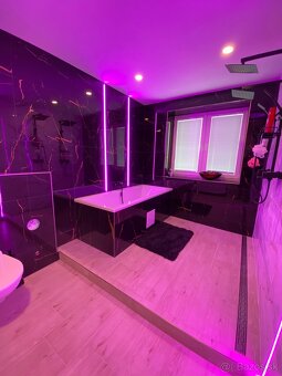 Rekonštrukcia domu / bytu - 13