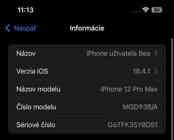 iPhone 12 pro max - 13