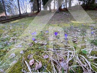 KRÁSNY REKREAČNÝ POZEMOK NA PODSUCHEJ POD LESOM, 1570m² - 13