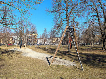 Historická Vila,roh Svätoplukovej,Löfflerovej, blízko Centra - 13
