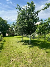 Vinohradnícky dom s vinohradom a sadom v Prietržke - 13