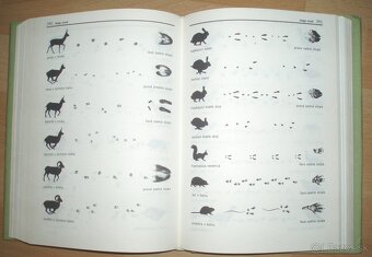 Poľovnícky náučný slovník - 13