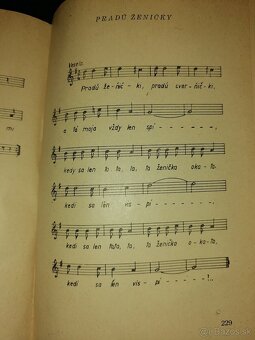 Kniha-Lúčnica. - 13