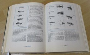 Encyklopédia muškárenia - 13