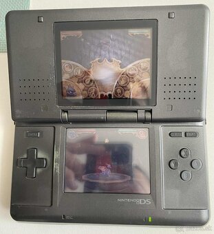 Nintendo DS + 64GB - 13
