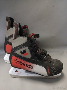 Predám lyže a korčule v dobrom stave - 13