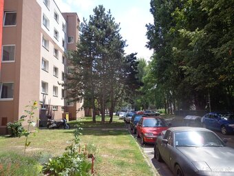 Prenájom 1 izbového bytu - Bratislava - Petržalka - 13