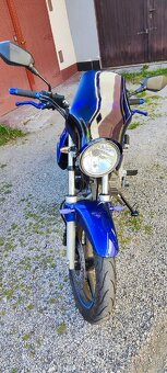 Honda CBF 250 2008 - 13