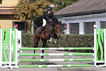 KOBYLKA NA AKTIVNÍ REKREACI / HOBBY SPORT - 13