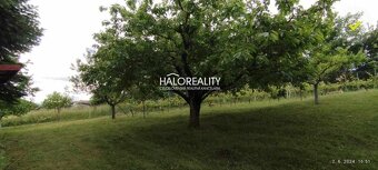 HALO reality - Predaj, rekreačný pozemok Krupina, Stará hora - 13