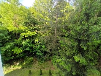 BYT 3 IZBOVY KOMPLETNE ZREKONSTRUOVANY SO ZARIADENIM - 13