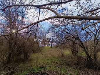 Rodinný dom s veľkým pozemkom - Veľký Kýr - 13