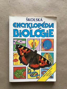 Ikabog, Montgomeryová, Sisi, Belka a Ruženka, Thomas Brezina - 13