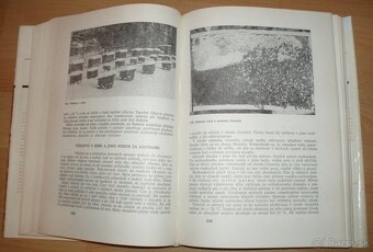 Včelárstvo - 13