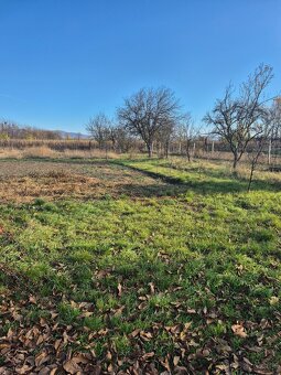 RD v Méra, na peknom pozemku - 13