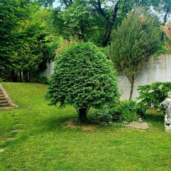 VIVAREAL EXKLUZÍVNA PONUKA 6 izb. RD, garáž, pozemok 844 m - 13