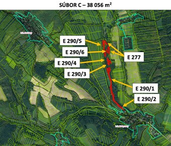 Rokycany – 233.000 m2 LESNÉ POZEMKY v podiele 1/1 - 13
