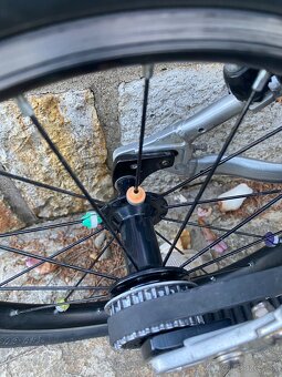 Early Rider Belter 16 - 13