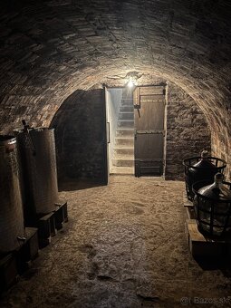 PREDAJ, PODLUŽANY - VINIČNÝ DOMČEK S VINOHRADOM - 13