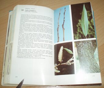 Atlas drevín 1 - 13