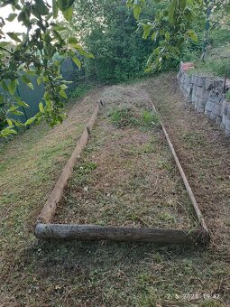 VYMENIM záhrada ,, Sad 600 - ročnica,, - 13
