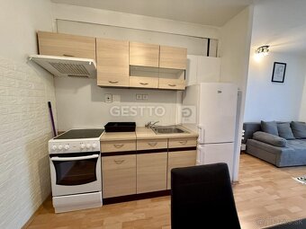 2- IZBOVÝ BYT  PRENÁJOM CENTRUM VAJANSKÉHO - 13