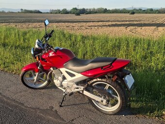 Predám Hondu CBF 250 - 13