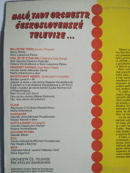 LP a singel vinylové platne - rôzne - 13