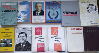 Politika : náčrty, príbehy, svedectvá - 13