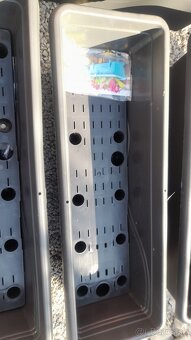 Terakotové kvetináče 10eur, 15eur /kus - 13