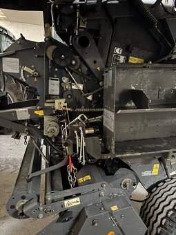 Pluh 4 radličný - 13