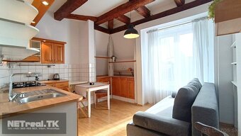 ROMANTICKÉ BÝVANIE – ATYPICKÝ PODKROVNÝ- Garzónka - - 13