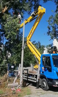 Kosenie, Oplotenie, Rizikove pilenie, Ovoc. rez, Zive ploty - 13