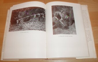 Lovy v Karpatech - 13