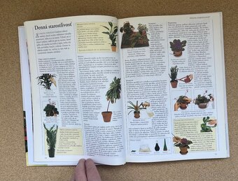 Knihy Príjemný Život s Kvetinami Obľúbené Izbové Kvety - 13