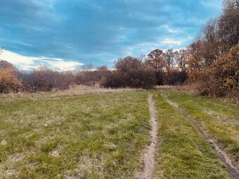 Pozemok - Lúka, Malé Leváre, 26 385 m² - 13