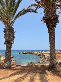 Štýlový záhradný apartmán v projekte Blueberry – Cyprus - 13