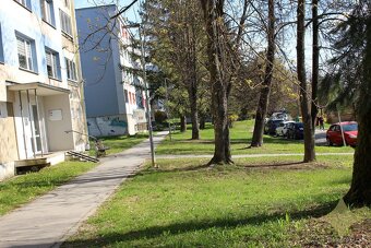 Prenájom 1 izb byt 1.p.  45 m2 , 460-Eur/mesiac s energ.  Ba - 13