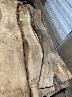 Vysušené orechové dosky, orech, VÝPREDAJ - 13