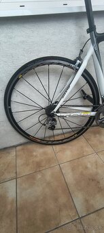 Giant TCR-C Carbon - 13