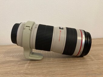 Canon eos 6D mk ii - 13