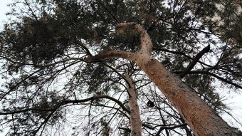 Slnečný, teplý 3 izb. byt s balkónom, A. Stodolu, Prievidza - 13