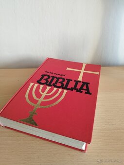 Ilustrovana Biblia - 13