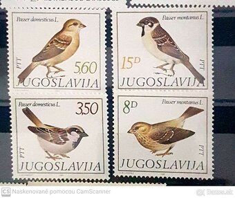 Fauna ,Flóra - 13