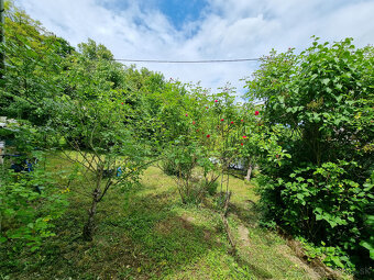 RD - CHALÚPKA a POZEMOK 1207m2 PRI LESÍKU MYJAVSKÉ KOPANICE - 13